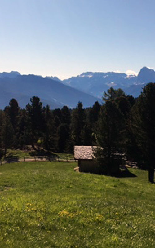 Vacanze in montagna in Alto Adige
