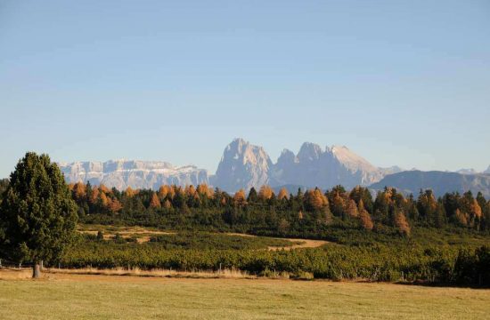 Leishof in Villanders / Eisacktal - Südtirol