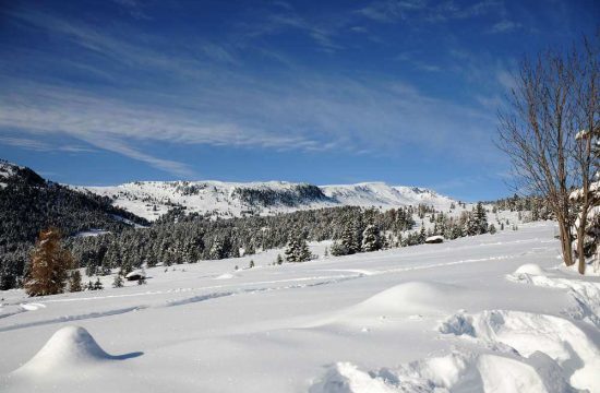 Leishof in Villanders / Eisacktal - Südtirol