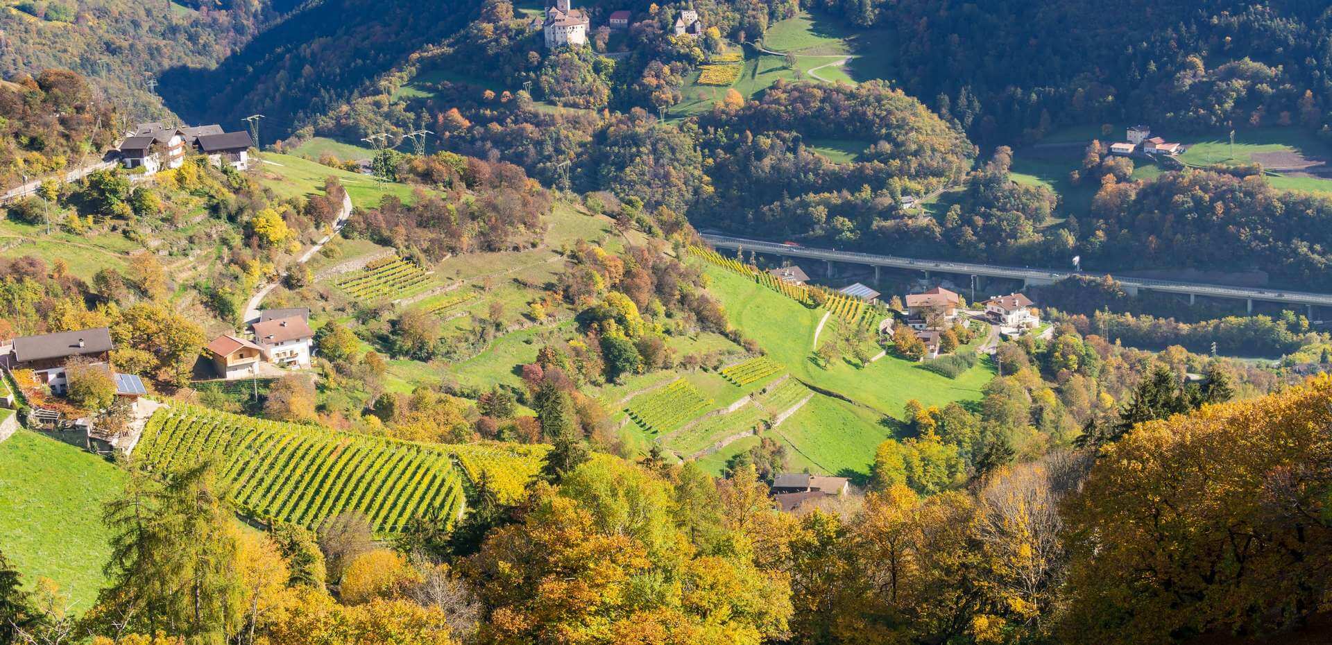 Törggelen im Eisacktal - Südtirol