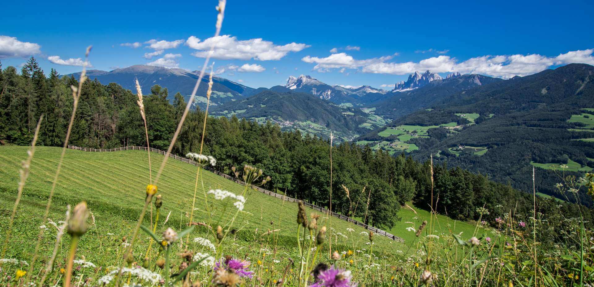 Wandern Villanderer Alm - Südtirol