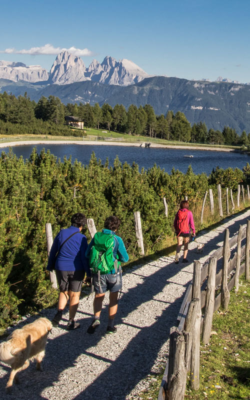 Escursioni sull’Alpe di Villandro