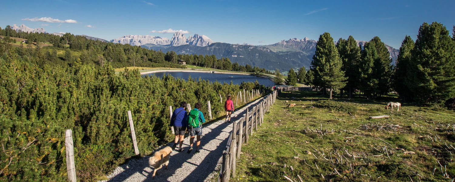 Wandern auf der Villanderer Alm