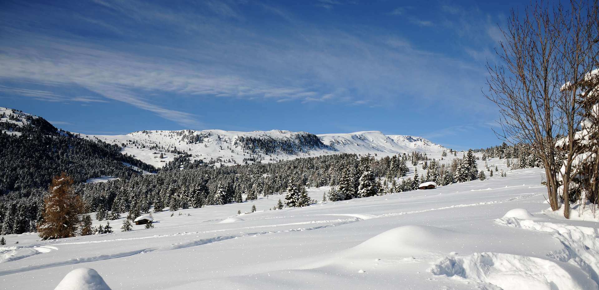 Winterwandern - Schneeschuhwandern - Eisacktal - Südtirol