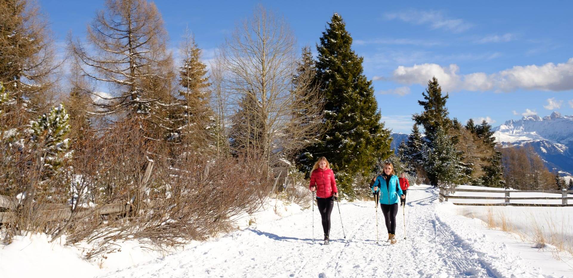 Winterwandern - Schneeschuhwandern - Eisacktal - Südtirol